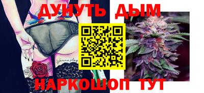 дмт Шелехов