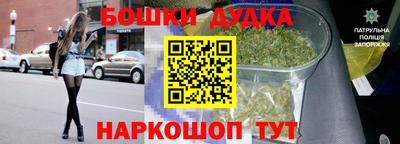 дмт Шелехов