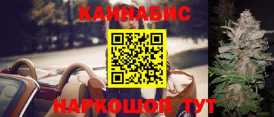 СК Шебекино