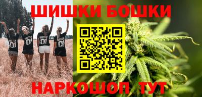 дмт Шелехов