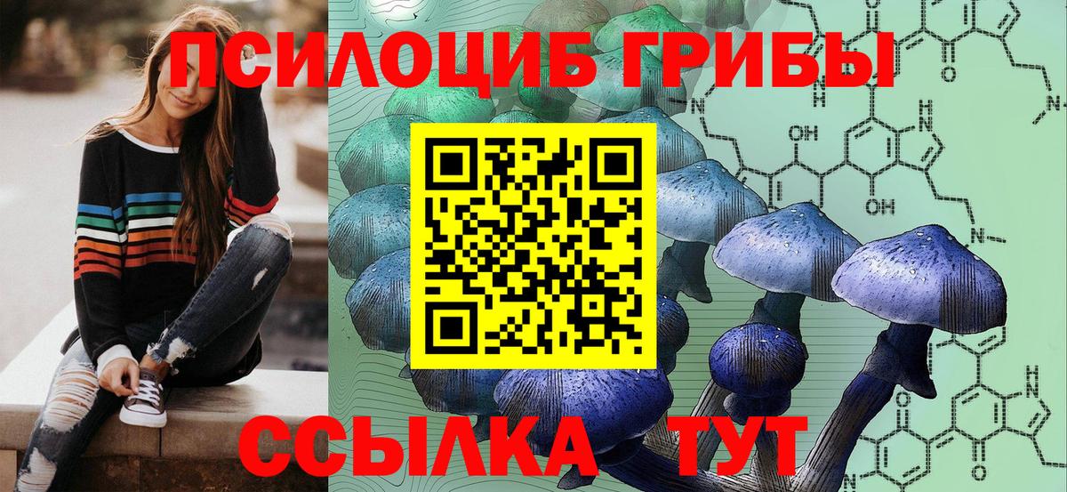 Симферополь  купить закладку  Вход с VPN  Псилоцибиновые грибы прущие грибы 